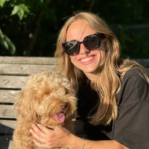 Aide aux devoirs collège et prof particulier 