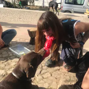 Good energy pet sitting services