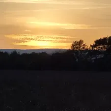 Agent d'entretien polyvalent 