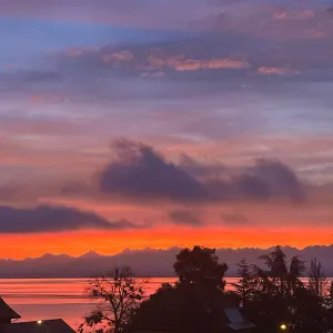 . Femme de ménage responsable, attentionnée et expérimentée