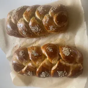 Familiy looking for a student to take care of 2 daughters