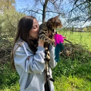 Garder vos compagnons à quatre pattes 🐾