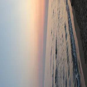 Assistente agli anziani e babysitter 