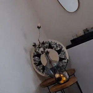 Femme d entretien Toulon respinsable