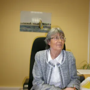 Aide au ménage & courses & compagnie