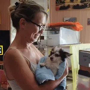 Nounou pour tous animaux domestiques