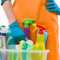 Femme de ménage à domicile disponible à Malines