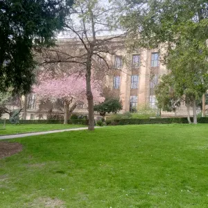 Baby sitting expérimenté à Luxembourg 