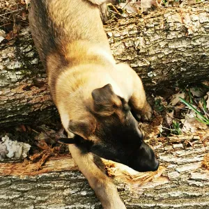 Aide au bonheur au top à Domicile