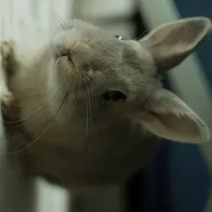 Je recherche une femme de ménage pour ménage hebdomadaire