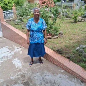 femme de ménage / aide à domicile Baillif, Saint-Claude, B-T