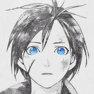 Emploi d'aide ménagère Pamiers