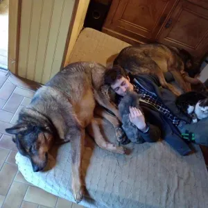 Pet-Sitter Saint Genis Pouilly