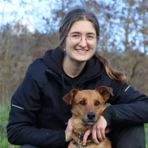 Pet-Sitter de Saône-et-Loire !