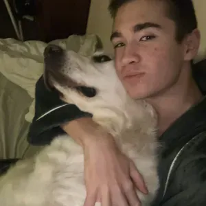 garde d'animaux à paris et en ile de france