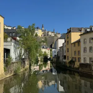 Recherche garde autres animaux à Helperknapp