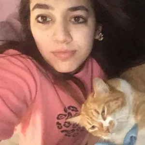 Pet Sitting A Cremona 