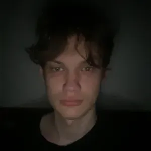 Pet sitting services, Mestre , Walk,Pet sitting