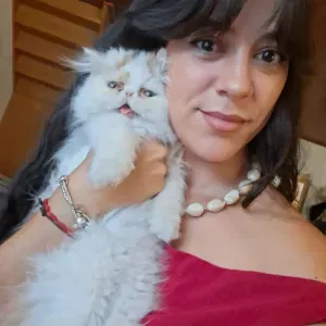pet sitting em Viseu 
