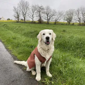 Je cherche un(e) petsitter près de chez moi