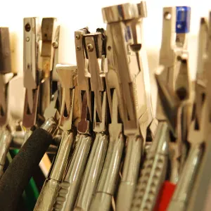 Garde occasionnelle pour 2 matinées fin août 