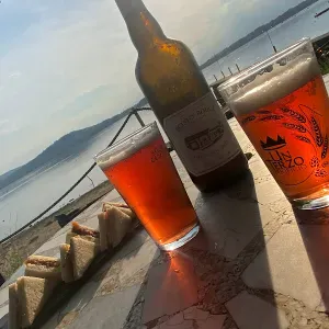 Cercasi pulizie