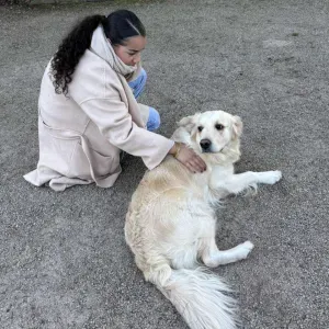 Pet sitter à votre disposition ! 