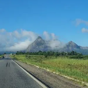 Procuro um petsitter perto de mim