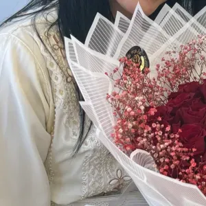 Baby-sitter disponible sur Orléans et ces alentour