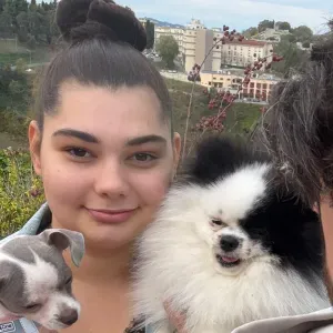 Dog sitter affidabile a Pesaro – cura con amore come a casa