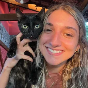 Dog walking & Pet Sitting em Viseu