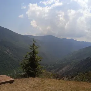 Garde d'enfant expérimentée, bienveillance