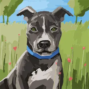 Recherche Baby-sitter