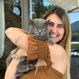 aiuto compiti collegno e dintorni