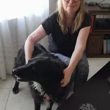 Garde promenade petit chien 