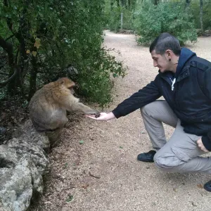 Pet-Sitter à Mirepoix et ses alentours