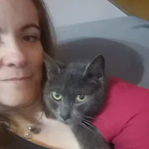 Visites et promenades quotidienne à Méru 