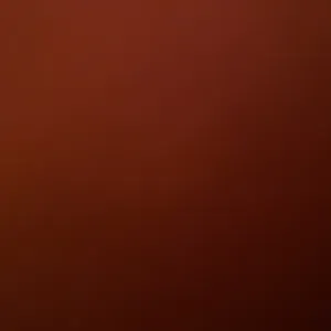 femme de ménage responsable a narbonne 