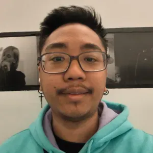 Experienced babysitter in paris