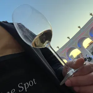 Cerco servizio di pulizia domestica ora da concordare