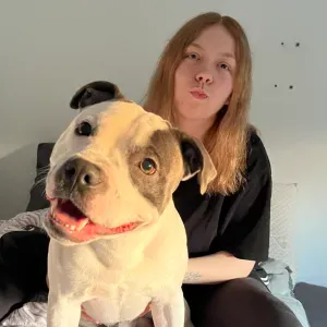 Pet-sitter sur Marines pour mon grand plaisir