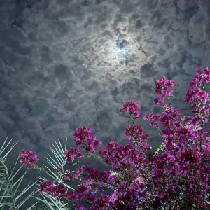 Femme de ménage responsable a Paris !