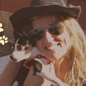 Pet sitting em Aveiro com amor e responsabilidade