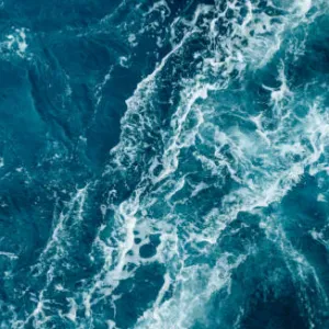 Aide polyvalent aux Tampon domicile