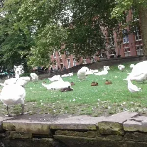 Assistante maternelle agréé diplômée