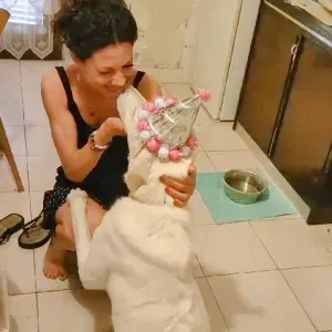 Pet-sitter dédiée à vos bébés à fourrure 