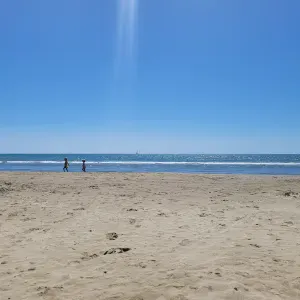 Je recherche une garde à domicile 