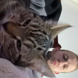 Petsitter sérieux et attentionné à Strasbourg