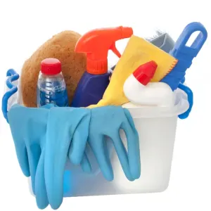 Femme de menage/repassage a Champigny sur Marne 