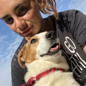 Pet-sitting Bergamo e dintorni 